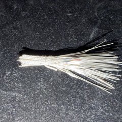 IMG 6288.JPG